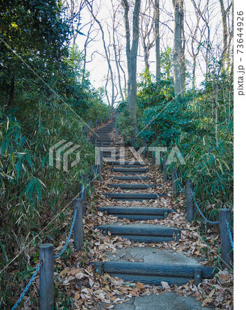 赤塚城本丸 73644926