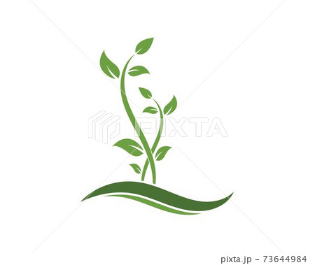plant logo icon vector illustration design 73644984