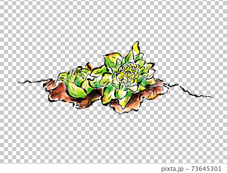 Illustration of letter-style Fukinotou Illustration of letter-style Fukinotou 73645301