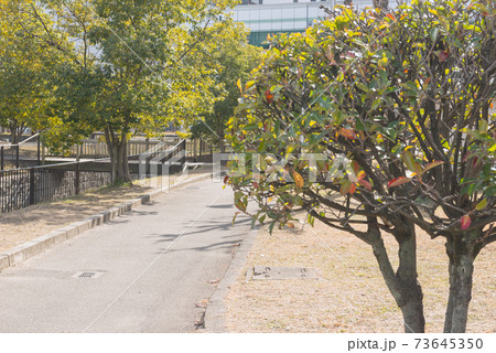 長瀬川遊歩公園 長瀬川遊歩公園 73645350