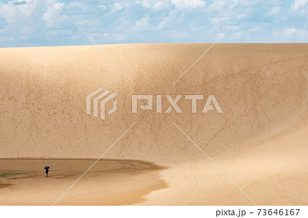 鳥取砂丘 鳥取砂丘 73646167