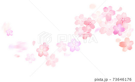 桜の素材 - 複数のバリエーションがあります 桜の素材 - 複数のバリエーションがあります 73646176