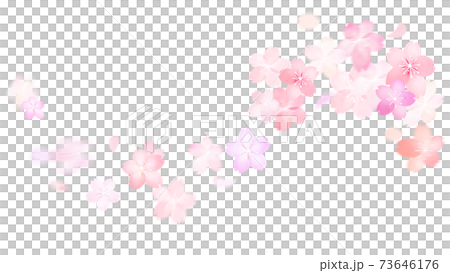 Cherry material-there are multiple variations Cherry material-there are multiple variations 73646176