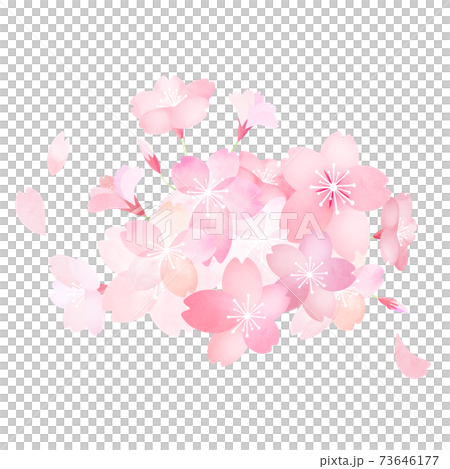 Cherry material-there are multiple variations Cherry material-there are multiple variations 73646177