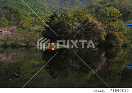 花 万 風景 73646319