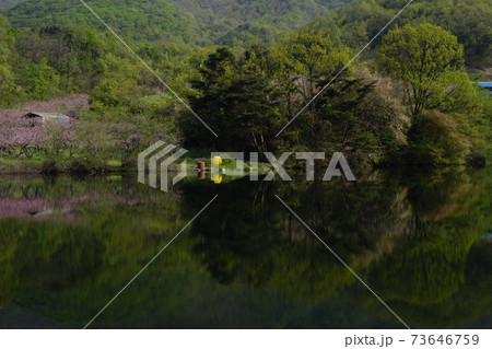 万 梅 花 73646759