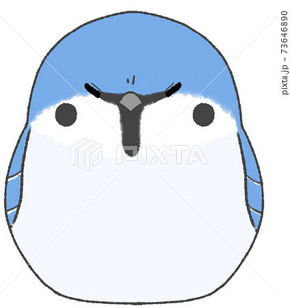 怒っているかわいいスズメ 青色 のイラスト素材