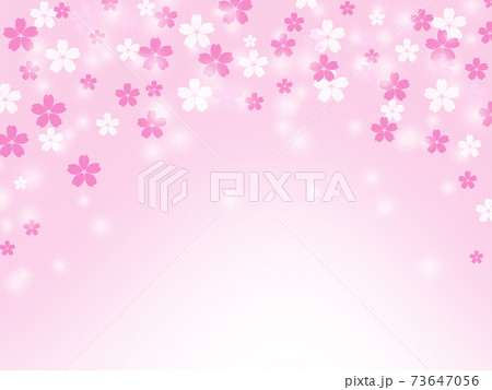 さくら 桜 サクラ 桜花 花びら 春 フレーム 枠 テキストスペースのイラスト素材