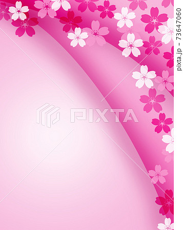 さくら 桜 サクラ 桜花 花びら 春 フレーム 枠 テキストスペースのイラスト素材