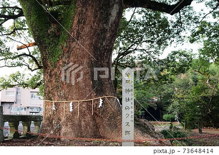 諫早神社のクス群 73648414