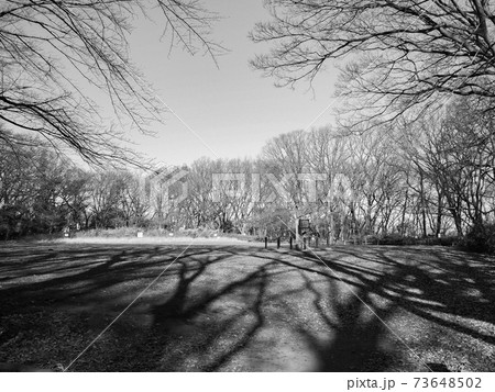 赤塚城本丸 赤塚城本丸 73648502