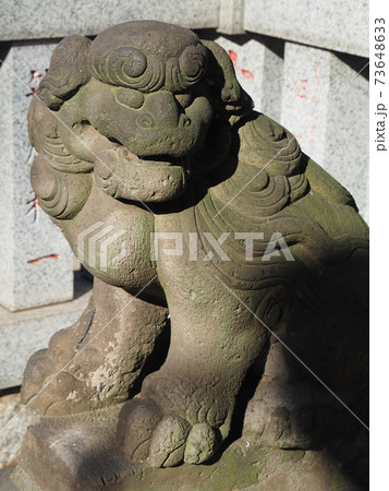 西台天祖神社の狛犬 西台天祖神社の狛犬 73648633