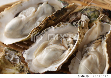 冬の海の味覚の殻付きの牡蠣 冬の海の味覚の殻付きの牡蠣 73648747