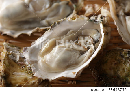 冬の海の味覚の殻付きの牡蠣 73648755