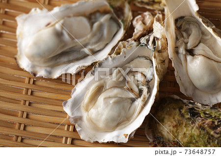 冬の海の味覚の殻付きの牡蠣 冬の海の味覚の殻付きの牡蠣 73648757