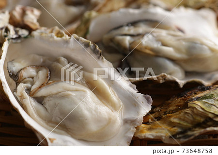 冬の海の味覚の殻付きの牡蠣 73648758