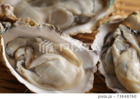 冬の海の味覚の殻付きの牡蠣 冬の海の味覚の殻付きの牡蠣 73648760