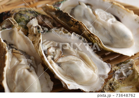 冬の海の味覚の殻付きの牡蠣 73648762