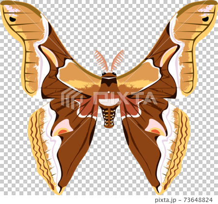 Shinjusan illustration 73648824