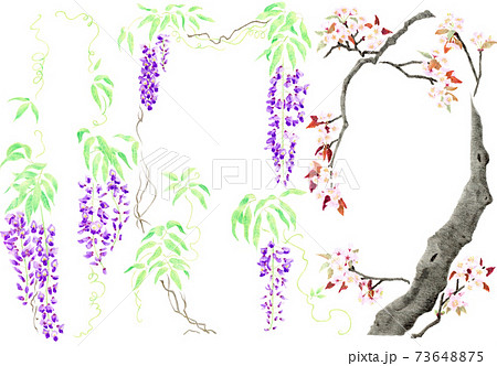 フレーム風藤と桜のイラスト素材