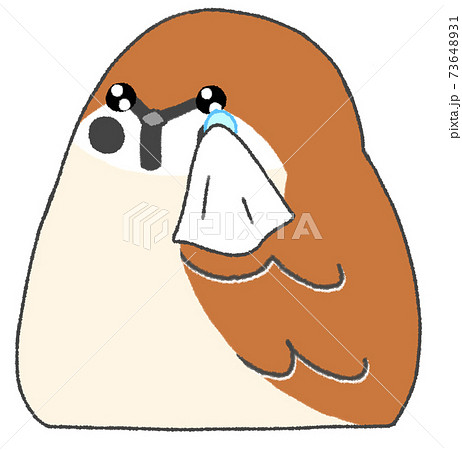 泣いているかわいいスズメのイラスト素材 泣いているかわいいスズメのイラスト素材