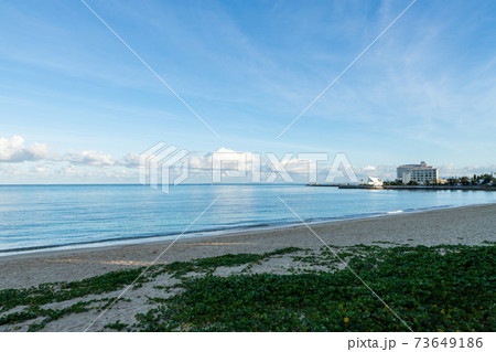 早朝の冨着ビーチ 早朝の冨着ビーチ 73649186