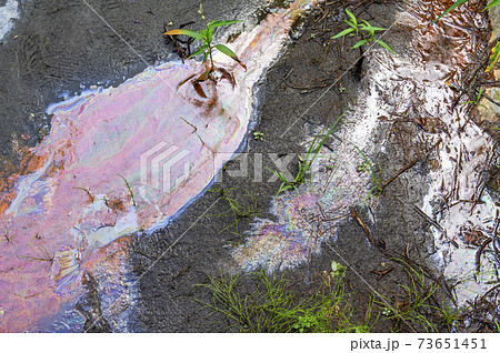 鉄バクテリア 73651451