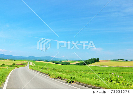 北海道　青空の美瑛 73651578