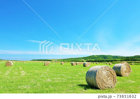 北海道 夏の青空と牧草ロール 北海道 夏の青空と牧草ロール 73651632