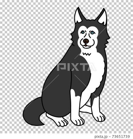 正面を見てお座りをする青い目のシベリアンハスキーのイラスト素材 正面を見てお座りをする青い目のシベリアンハスキーのイラスト素材