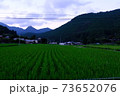 田舎 73652076