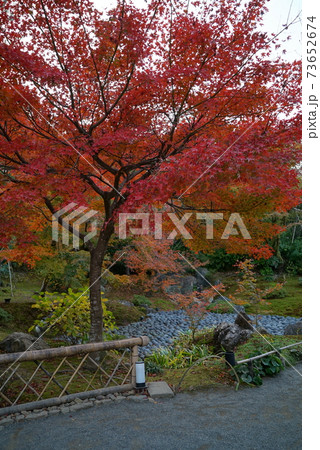 きれいな紅葉_宝厳院 73652674