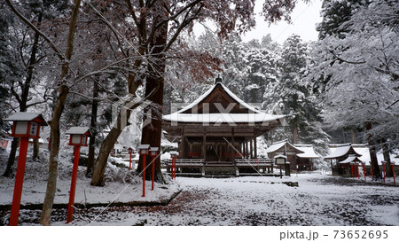 雪の日吉大社　宇佐宮と散紅葉 73652695