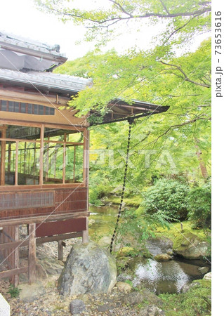 宝厳院　青紅葉の獅子吼の庭 73653616