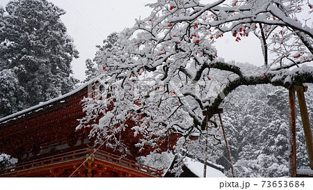 雪の日吉大社　西本宮楼門と猿柿 73653684