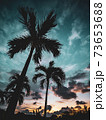朝焼けの空にそびえるヤエヤマヤシ 73653688