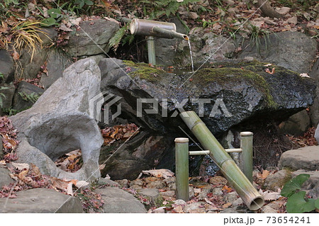 国分寺崖線の湧水を利用した殿ヶ谷戸庭園のししおどしの写真素材