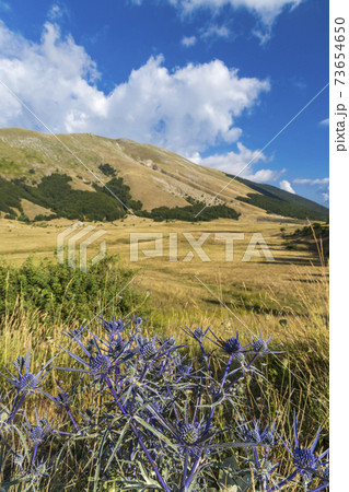 National Park of Abruzzo near Barrea, Lazio and Molis, Italy 73654650