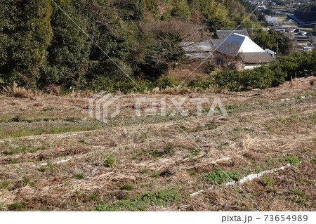 里山の農地 里山の農地 73654989