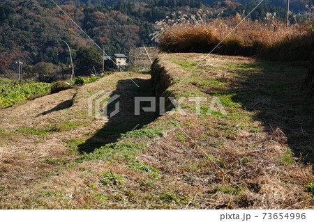 里山の棚田 73654996