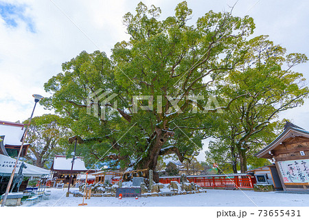 雪の宇美八幡宮　福岡県糟屋郡宇美町 73655431