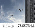 73657348