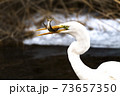 73657350