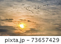 73657429