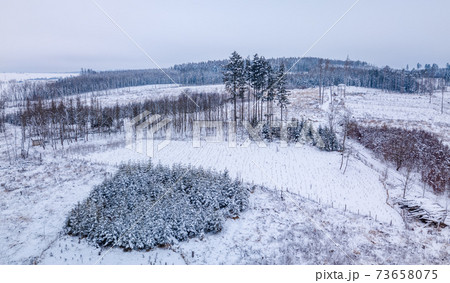 Aerial view of spruce tree in deforested landscape Aerial view of spruce tree in deforested landscape 73658075