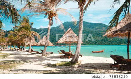 palms and sun beds with sea view. Tropical beach landscape as summer vacation and holiday resort 73658210