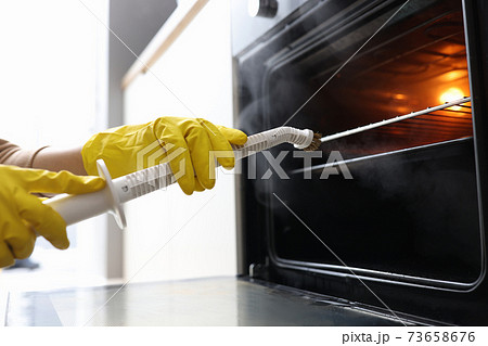 Hands in rubber gloves washing oven with steamer concept Hands in rubber gloves washing oven with steamer concept 73658676