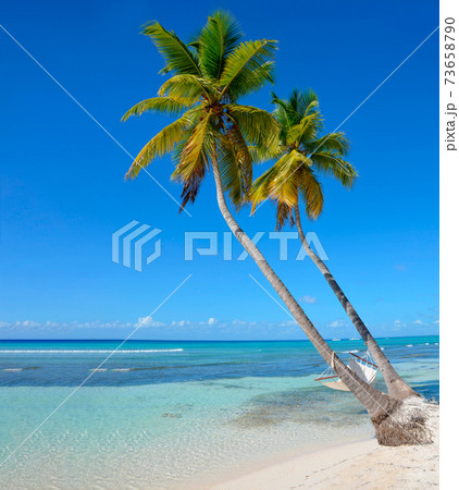 Hammock on a palm tree on the beach Hammock on a palm tree on the beach 73658790