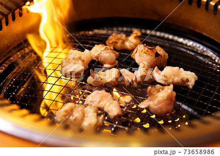 ホルモン焼肉 73658986