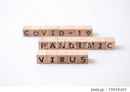 PANDEMIC  VIRUS  COVID-19 73659165